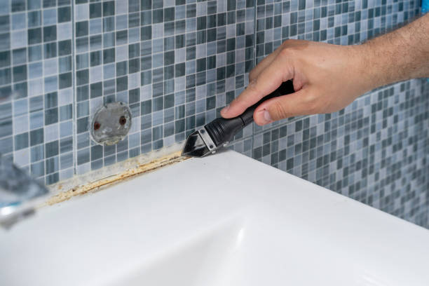 Best Certified Mold Removal  in Hazelwood, MO