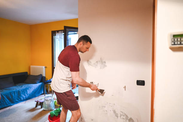 Certified Mold Removal in Hazelwood, MO